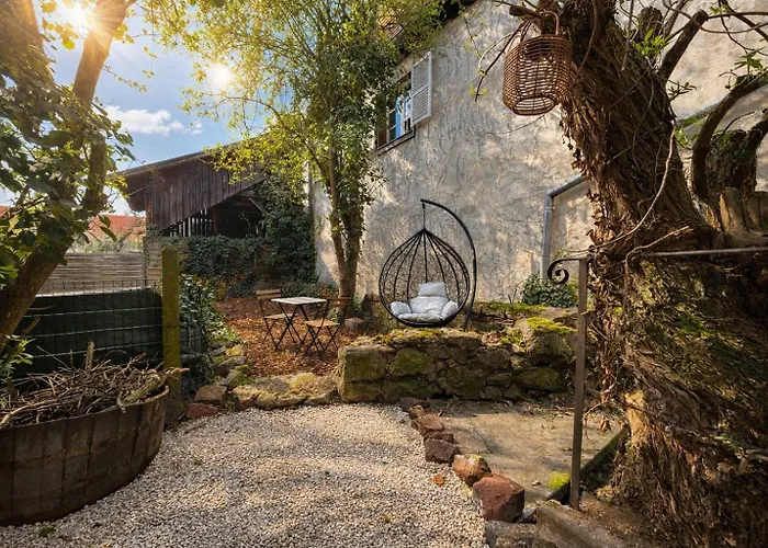 Aux 67 Nuances - Appartement Châtenois